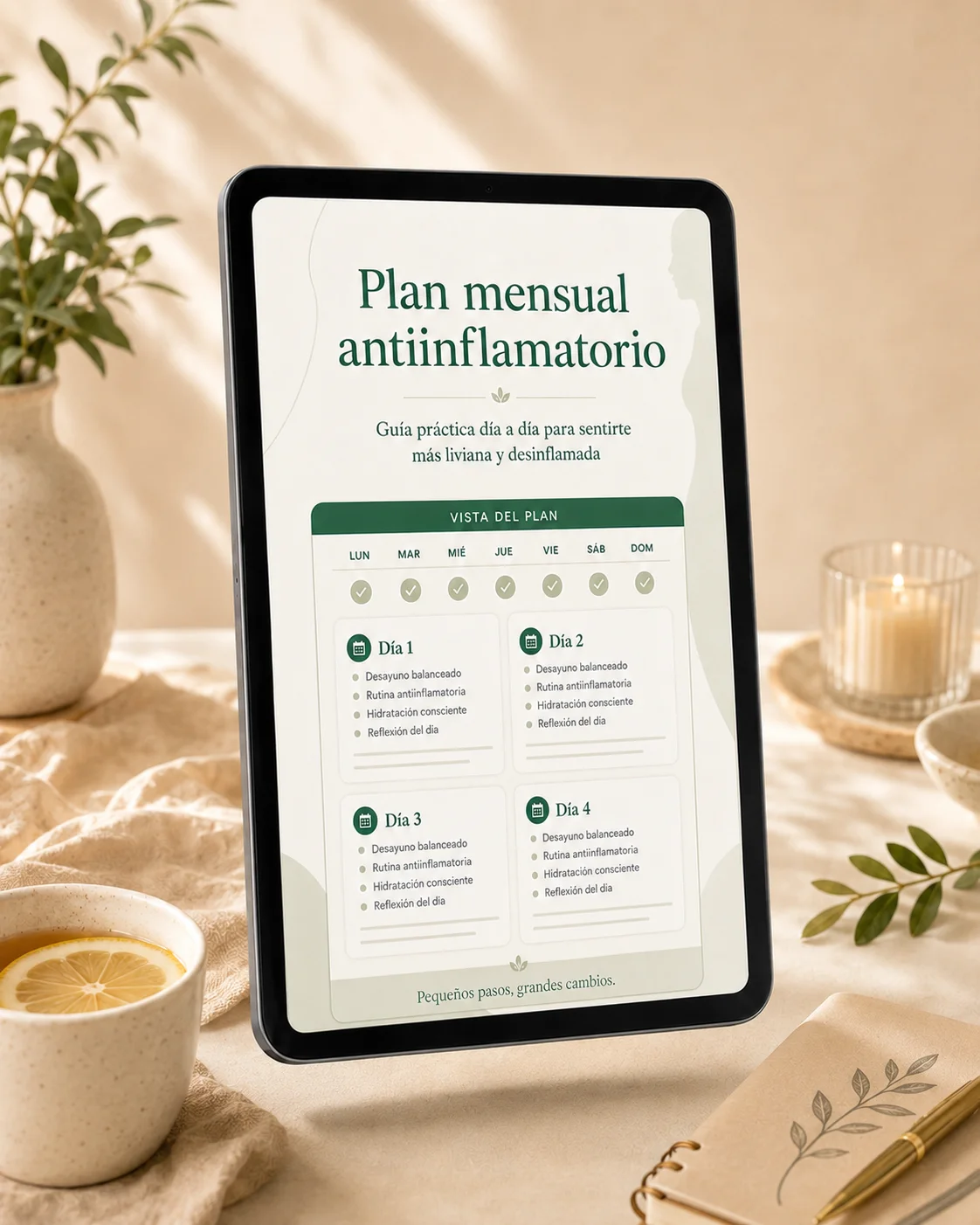 Plan Mensual Antiinflamatorio ·28 días